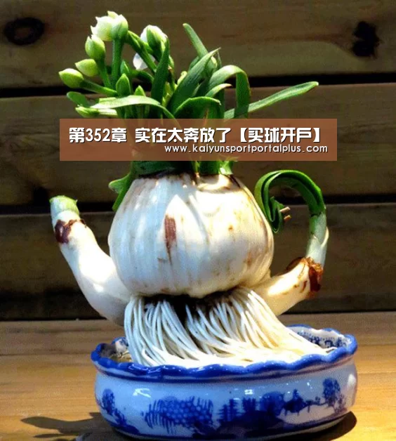 买球站官网